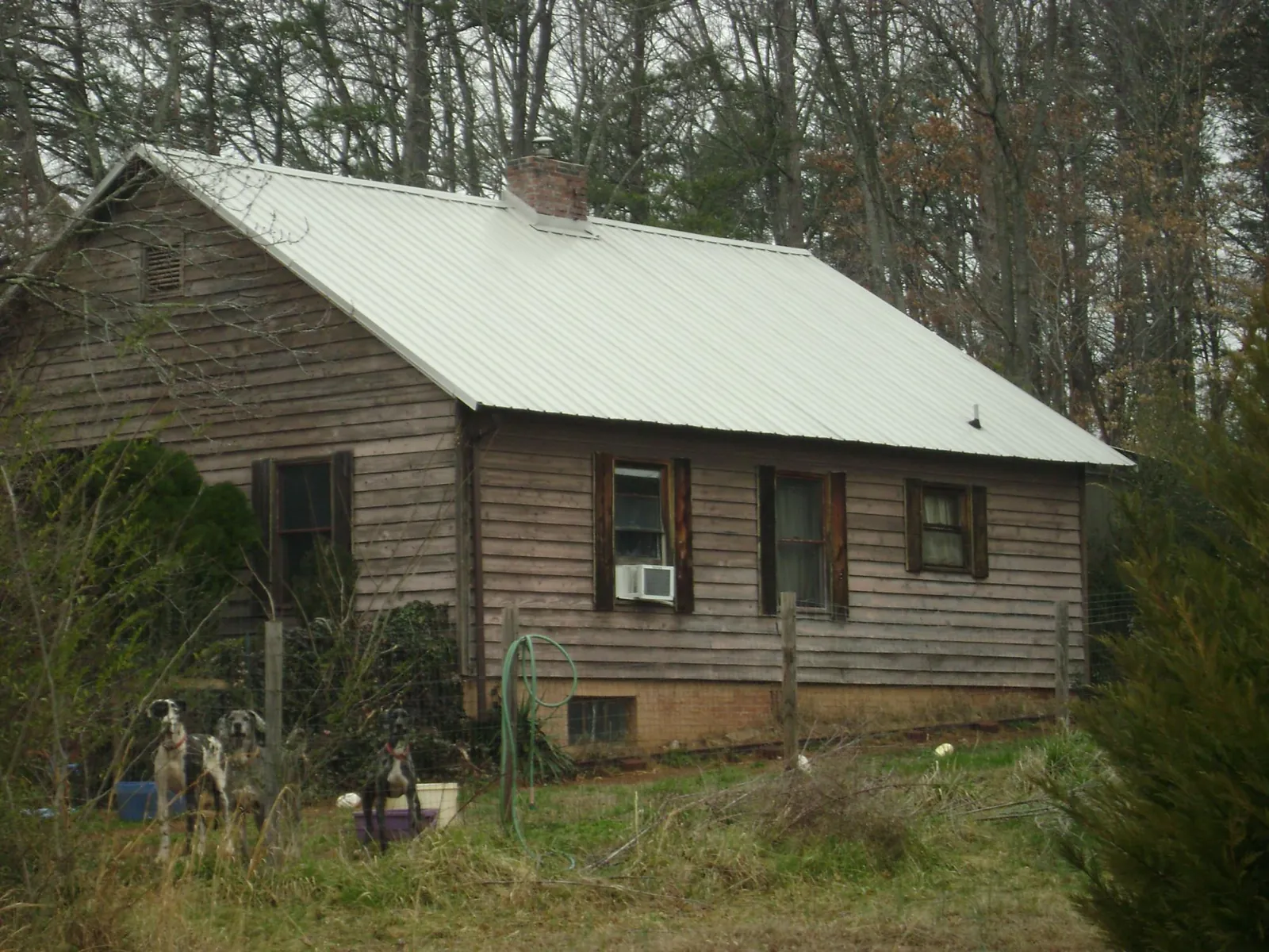 White metal roof on an old wood sided farmhouse, from a Asphalt Shingle Roof Repair job in Astor